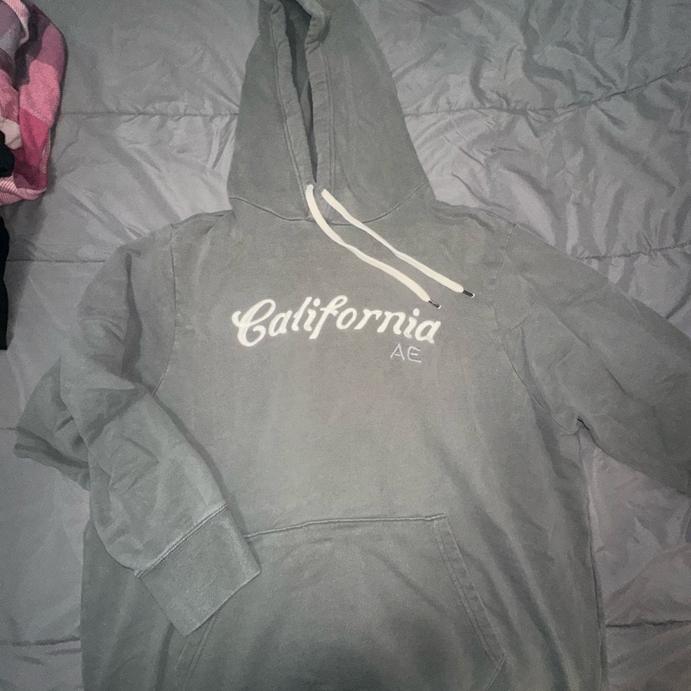 California AE Graphic Hoodie in Faded Sage Green